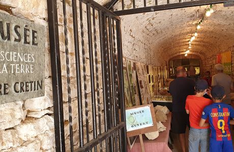 Musée des sciences de la terre Pierre Cretin
