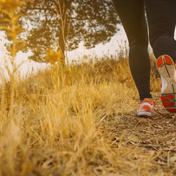 Visites & Activités